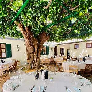 Hotel Antica Al Gelso ***